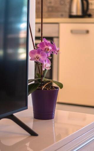 Апартаменти Apartman Boni Оребич Екстер'єр фото